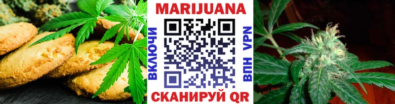 Canna-Cookies марихуана Купить где Берёзовка
