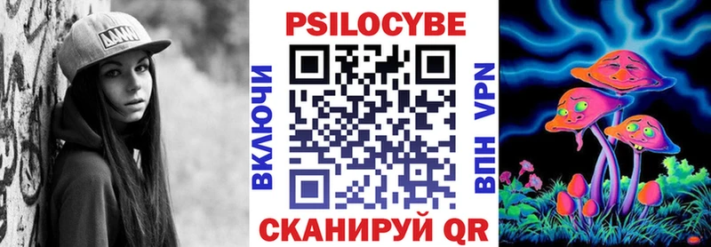 Купить где  Берёзовка  Псилоцибиновые грибы GOLDEN TEACHER 